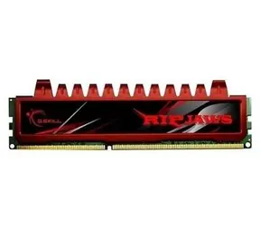 G.Skill Ripjaws 4GB (1x4GB)  1066MHz / DDR3 / 7-7-7-18