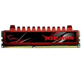G.Skill Ripjaws 4GB (1x 4GB) / DDR3 / 1600MHz / 9-9-9-24