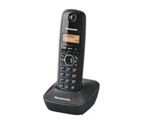 Panasonic KX-TG1611FXH / přenosný telefon / CLIP / paměť na 50 jmen / šedý