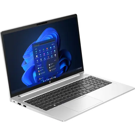 HP ProBook 455 G10 stříbrná / 15.6