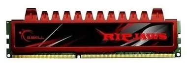 G.Skill Ripjaws 4GB (1x4GB)  1066MHz / DDR3 / 7-7-7-18
