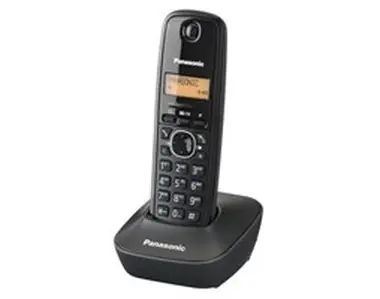Panasonic KX-TG1611FXH / přenosný telefon / CLIP / paměť na 50 jmen / šedý